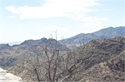 Tucson 2592
